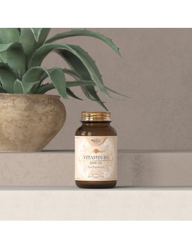 SKY PREMIUM LIFE VITAMIN D3 2500IU 60TABS