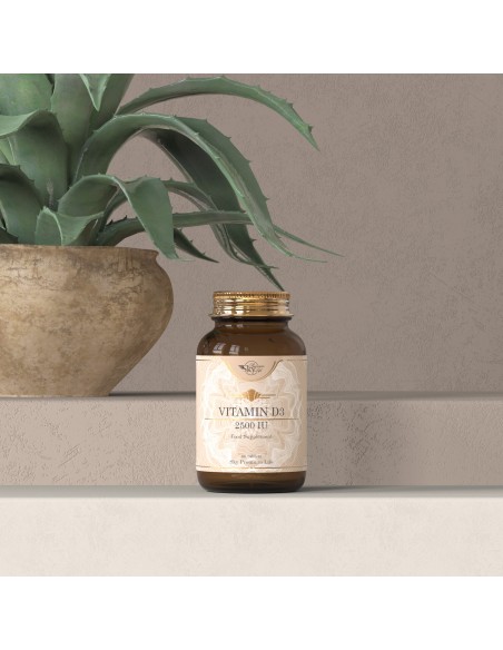 SKY PREMIUM LIFE VITAMIN D3 2500IU 60TABS