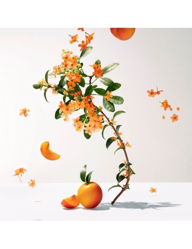 Roger & Gallet Fleur D'Osmanthus Ενυδατική...