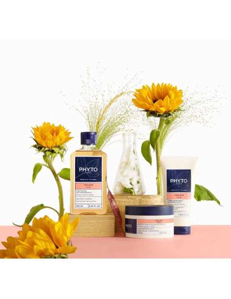 Phyto Color Σαμπουάν Διατήρησης Χρώματος για Βαμμένα Μαλλιά 250ml