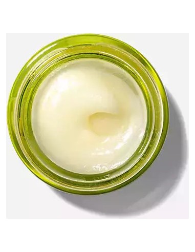 Origins Drink Up Nourishing Avocado Lip Butter