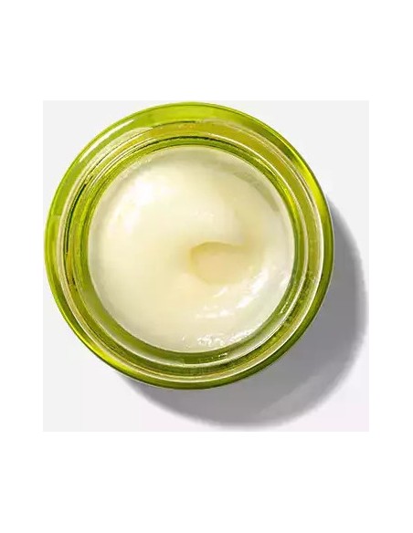 Origins Drink Up Nourishing Avocado Lip Butter