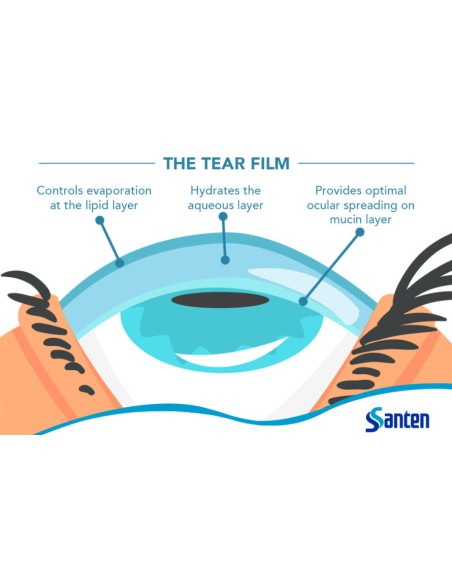 Santen Cationorm Οφθαλμικές Σταγόνες για Ξηροφθαλμία 10ml