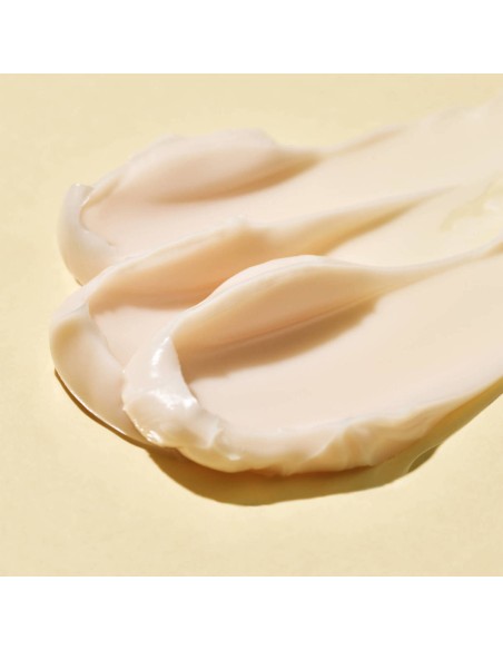 Dr. Jart+ Ceramidin Ectoin-Infused Rich Ενυδατική Κρέμα Προσώπου για Ξηρές Επιδερμίδες με Ceramides 50ml