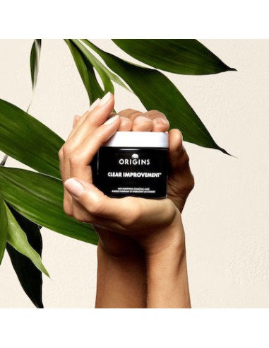 Origins Clear Improvement Rich Purifying...