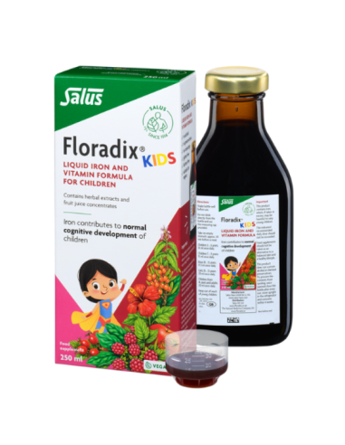 SALUS Floradix Kids Food supplement for...