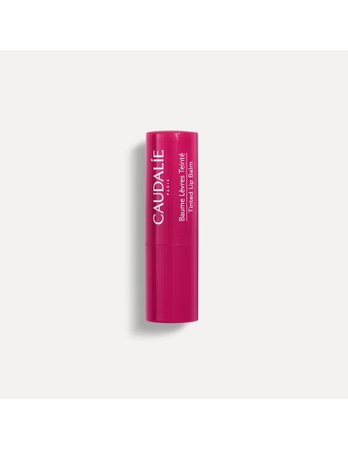 Caudalie Tinted Lip Balm Ενυδατικό Στικ Για Τα...