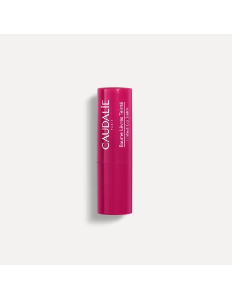 Caudalie Tinted Lip Balm Ενυδατικό Στικ Για Τα Χείλη Με Χρώμα & Άρωμα Σμέουρου 4.5gr