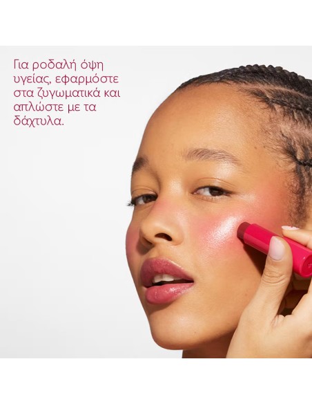 Caudalie Tinted Lip Balm Ενυδατικό Στικ Για Τα Χείλη Με Χρώμα & Άρωμα Σμέουρου 4.5gr