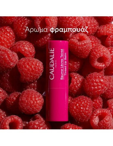 Caudalie Tinted Lip Balm Ενυδατικό Στικ Για Τα...
