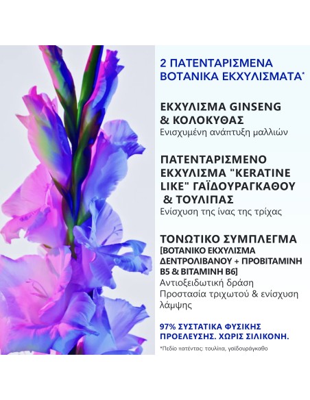 Phyto Phytophanere Ultra Serum Ορός για Αύξηση του Μήκους των Μαλλιών 50ml