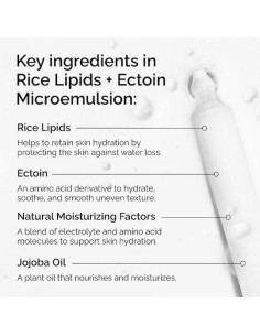 The Ordinary Rise Lipids & Ectoin Microemulsion Κρέμα... 2