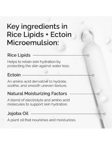 The Ordinary Rise Lipids & Ectoin Microemulsion...