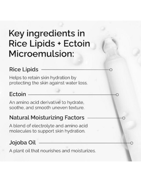 The Ordinary Rise Lipids & Ectoin Microemulsion Κρέμα Προσώπου Ελαφριάς Υφής για Λάμψη & Ενυδάτωση, 60ml