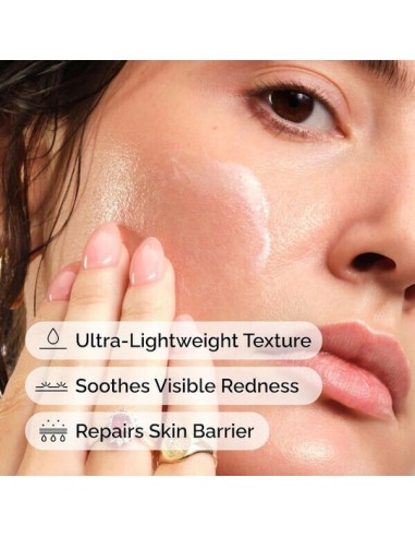 The Ordinary Rise Lipids & Ectoin Microemulsion...