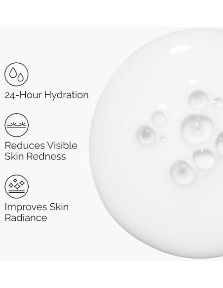 The Ordinary Rise Lipids & Ectoin Microemulsion Κρέμα Προσώπου Ελαφριάς Υφής για Λάμψη & Ενυδάτωση, 60ml
