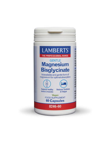 Lamberts Lamberts Magnesium...