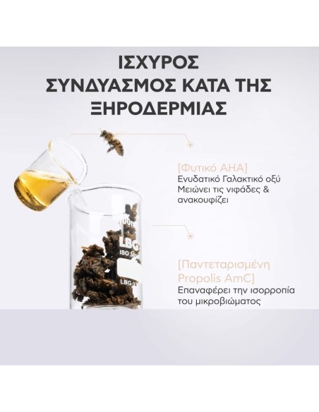 Apivita Dandruff Relief Δερματολογικό Σαμπουάν κατά της Ξηροδερμίας με Propolis AmC & Φυτικό AHA 250ml
