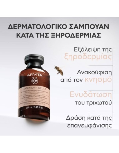 Apivita Dandruff Relief Δερματολογικό Σαμπουάν...