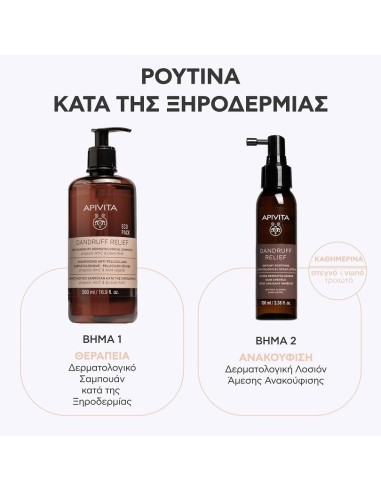 Apivita Dandruff Relief Δερματολογικό Σαμπουάν...