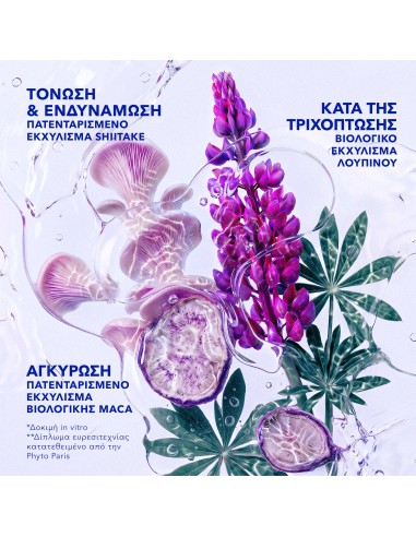 Phyto Phytocyane Men Σαμπουάν κατά της...