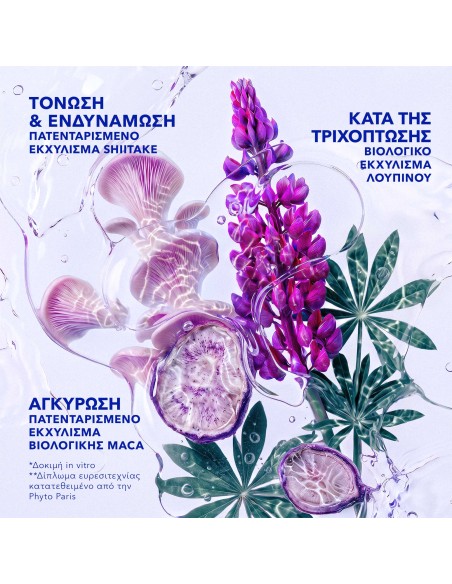 Phyto Phytocyane Men Σαμπουάν κατά της Τριχόπτωσης για Όλους τους Τύπους Μαλλιών 250ml
