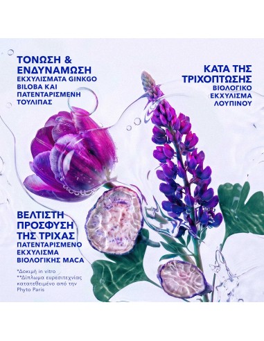 Phyto Phytocyane Σαμπουάν κατά της Τριχόπτωσης...
